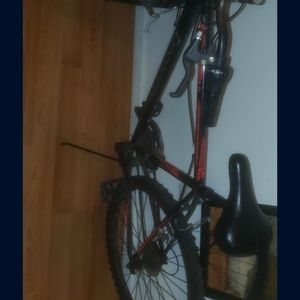 Dragon bicycle needs tune up